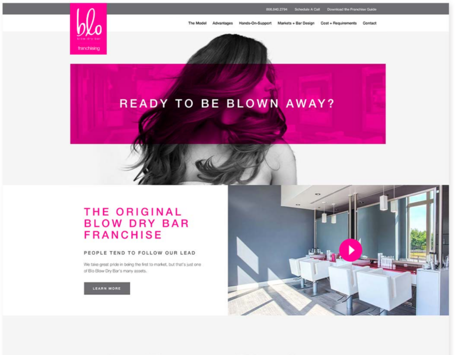Homepage hero of the Blo Blow Dry Bar franchise website, captured from the the agency portfolio page archived on the Wayback Machine (Oct 2020)